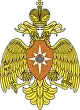 Герб на бланке лицензии МЧС России